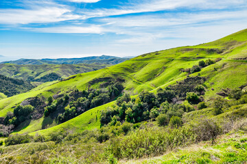 Breathtaking coastal hills of Cambria, California, with lush green landscapes overlooking the Pacific Ocean. Rolling terrain, scenic nature