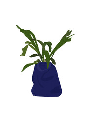 Illustration of plants in a blue eco bag