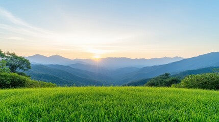 Fototapeta premium Mountain Range Sunrise Lush Meadow Vibrant Scenic Style High Definition Wide Landscape View Rolling Hills Peaceful Serenity Warm Golden Hues Travel Brochure
