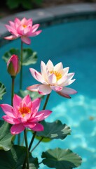 Obraz premium Watercolor blooms in a pool, organic, flowers
