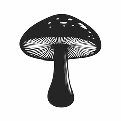 Black and White Mushroom Illustration: Detailed Fungi Art for Botanical and Mycology Enthusiasts