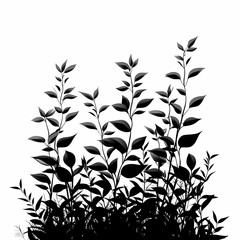 Minimalist Botanical Silhouettes Art: Elegant Black and White Foliage Vector Illustration for Modern Nature-Themed Wall Decor