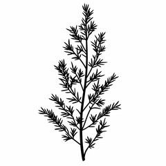 Fototapeta premium Stylized Botanical Silhouette Illustration of Leaf and Branch for Natural Decor