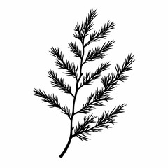 Naklejka premium Vintage Black and White Botanical Foliage: Evergreen Silhouette Artwork for Eco-Friendly Design