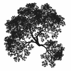 Black Silhouette of Tropical Tree with Leaf and Branch Artwork - Nature Design Vector Illustration for Eco-Friendly Decor