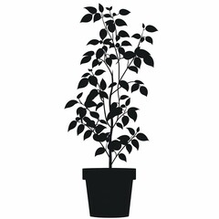 Organic Houseplant Decorative Idea: Urban Jungle Indoor Plant in Flowerpot Silhouette for Sustainable Home Decor
