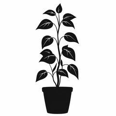 Potted Leaves and Houseplant Vector Illustration for Modern Home Decor and Botanical Design