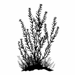 Naklejka premium Underwater Botanical: Elegant Marine Seaweed Silhouette Illustration for Eco-Friendly Design