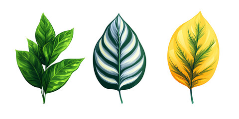 Three diverse tropical leaves in vibrant colors.