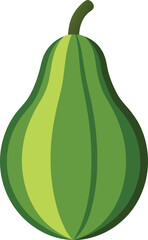 ash gourd icon on white background.