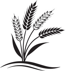 Wheat Plant Ears - Vector design illustrator 