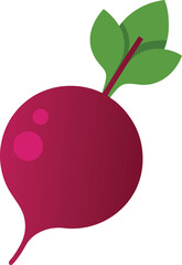 Beetroot icon on white background.