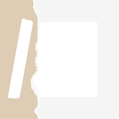 old paper on a white background