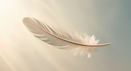 Obraz premium Serene White Feather Floating in Soft Sunlight Airy Light Delicate Nature Photography