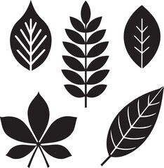 set of leaves, set of leaves vector illustration, set of leaves silhouette vector black and white