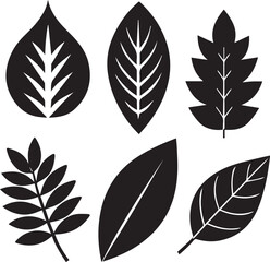 set of leaves, set of leaves vector illustration, set of leaves silhouette vector black and white
