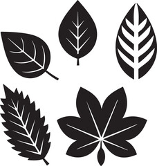 Fototapeta premium set of leaves, set of leaves vector illustration, set of leaves silhouette vector black and white
