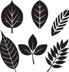 Fototapeta premium set of leaves, set of leaves vector illustration, set of leaves silhouette vector black and white