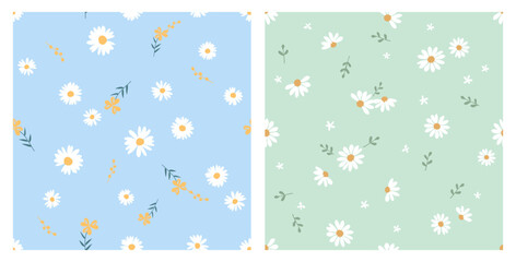 Seamless patterns with daisy chamomile flower and branches on blue and green backgrounds vector.