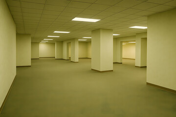 Empty Fluorescent Office Space with Surreal Layout