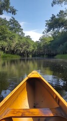 Fototapeta premium Kayaking Florida Swamp