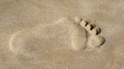 Footprint in Smooth Sand on a Sunny Beach