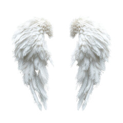 Ethereal Angel Wings Spread in Heavenly Light