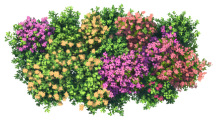 A vibrant aerial view of a lush flower garden filled with colorful blooms, showcasing nature's beauty in springtime