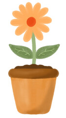 orange flower in a pot
