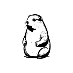 Detailed monochrome line art illustration of a prairie dog standing upright