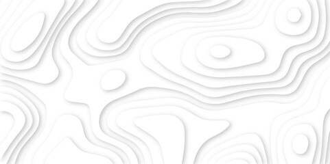 Modern White Paper cut background. Topographic map relief texture with curved layers and shadow. Wavy line drawing geometric paper art design. Multi layer cutout patterns.