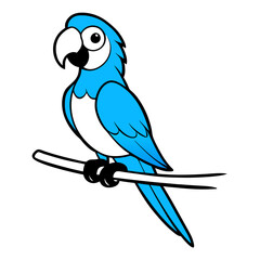 Fototapeta premium blue macaw