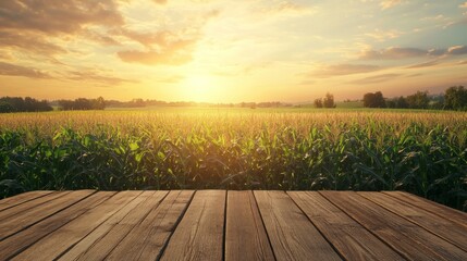35.A peaceful countryside setting with a thriving cornfield and a wooden table positioned at the forefront, offering ample space for showcasing agricultural products or services with a smooth 3D