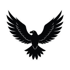 Obraz premium Flying Eagle Spread Wings Vector Art