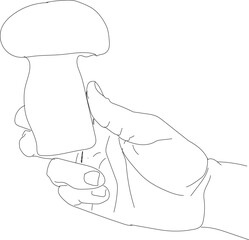 vector hand drawing holding mushroom