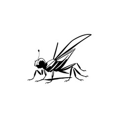 Stylized insect illustration in black ink, portraying nature's simple beauty