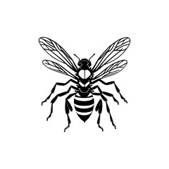 Detailed vector illustration of a wasp with its wings open on a plain background