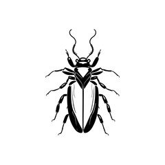 Elegant black and white beetle illustration, minimalist vector insect design