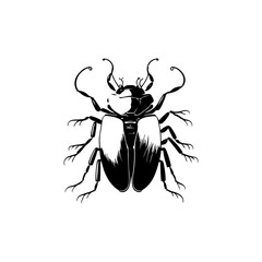 Stylized beetle vector illustration exhibiting intricate details and unique form