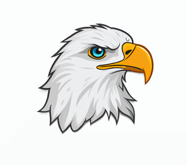 Fototapeta premium Bald Eagle Head with Piercing Blue Eye and Golden Beak