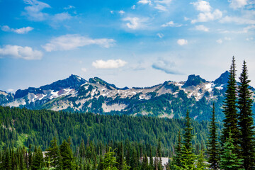 Scenery landscape of mountain. Scenery coniferous forest. Pine tree and mountain forest landscape. Mountain landscape. Forest nature mount. Nature in mountain countryside. Breathtaking wilderness