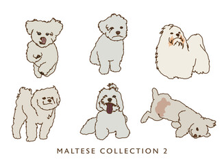 Maltese Color Illustrations 2