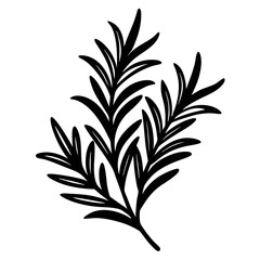 Different style rosemary design 