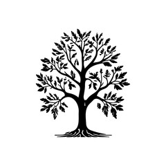Fototapeta premium Silhouette of deciduous tree with intricate branches against a white background