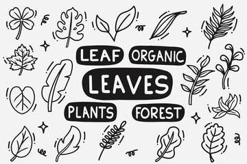 set of leaves doodle good for background, wallpaper, icon, element design, etc