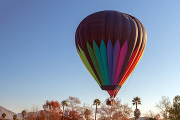 Hot air balloon floating down in park in the early morning golden hour over the Temecula Valley in southern California United States