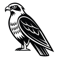 Elegant Falcon Silhouette Minimal Nature Artwork