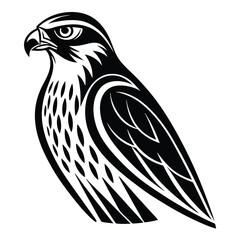 Obraz premium Minimalist Falcon Illustration Powerful Bird Symbol