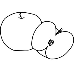 apple outline on isolated white