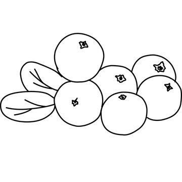 black and white berries with leaves clip art preview